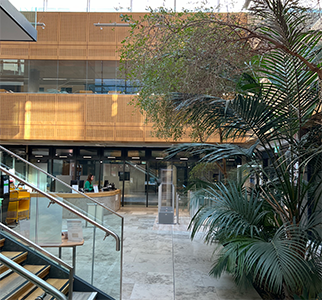 UCD Health Sciences Library ground floor with plants