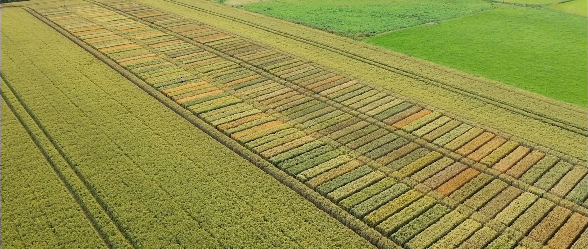 Crop Research Facilities