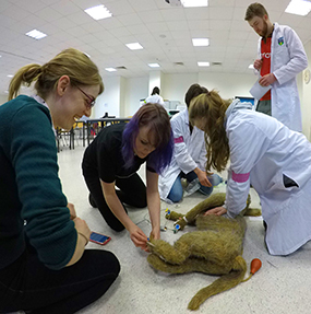 Veterinary Nursing