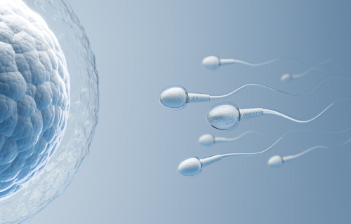 Patient perceptions on the use of artificial intelligence (AI) in fertility treatment