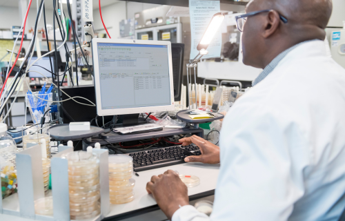 Graduate Research