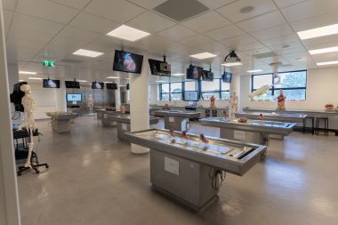 UCD health sciences