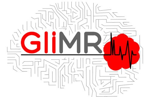 Join the summer GliMR Training School - Artificial Intelligence  | 25 – 27 July 