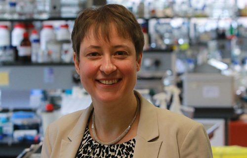 Prof. Silke Ryan elected 2022–2023 European Respiratory Society Vice President