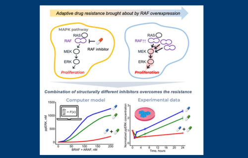 Exploring a new mechanism of drug resistance using next-generation computer modeling