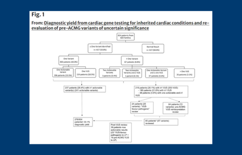 The importance of collation and review of pre-ACMG genetic variants to increase diagnostic utility of genetic testing for inherited heart disease