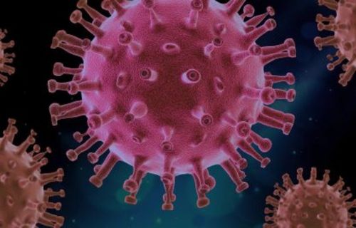 Covid Virus