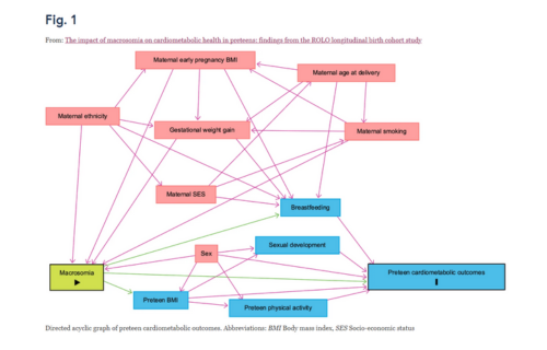 New research shows that macrosomia alone may not be a long-term cardiometabolic risk factor