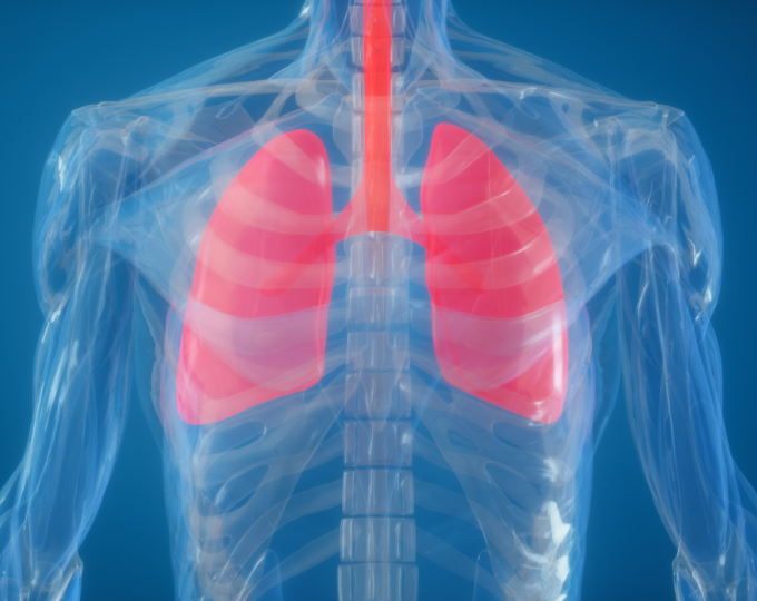 Lungs Graphic