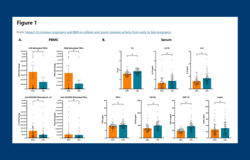 Maternal immune responses undergo significant changes in pregnancy which are influenced by previous pregnancy and maternal BMI