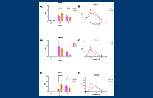 New data provides significant insights into understanding of immune responses in patients experiencing hypercapnia