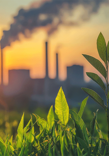 Carbon emissions reduction and greenhouse gases management