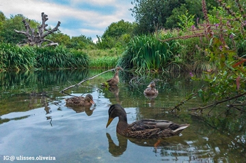 Lower_lake_360x239