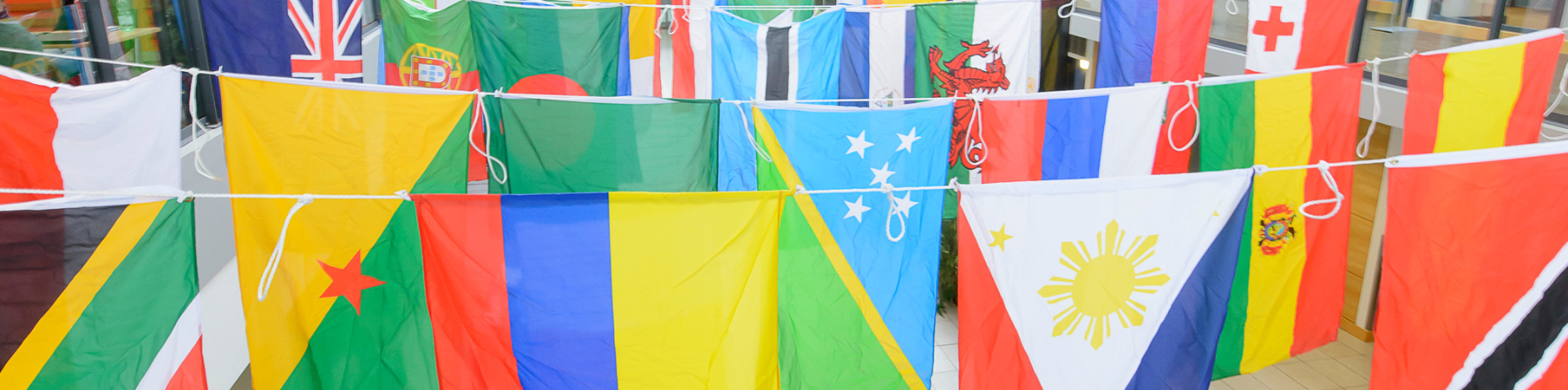 Colourful flags from around the world