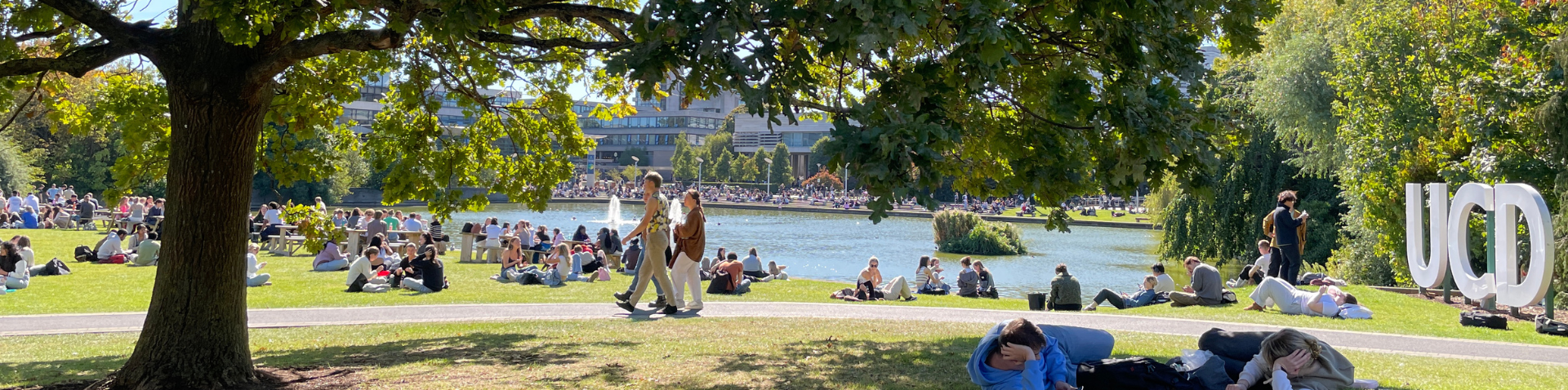 Students sitting around UCD lake on a sunny day