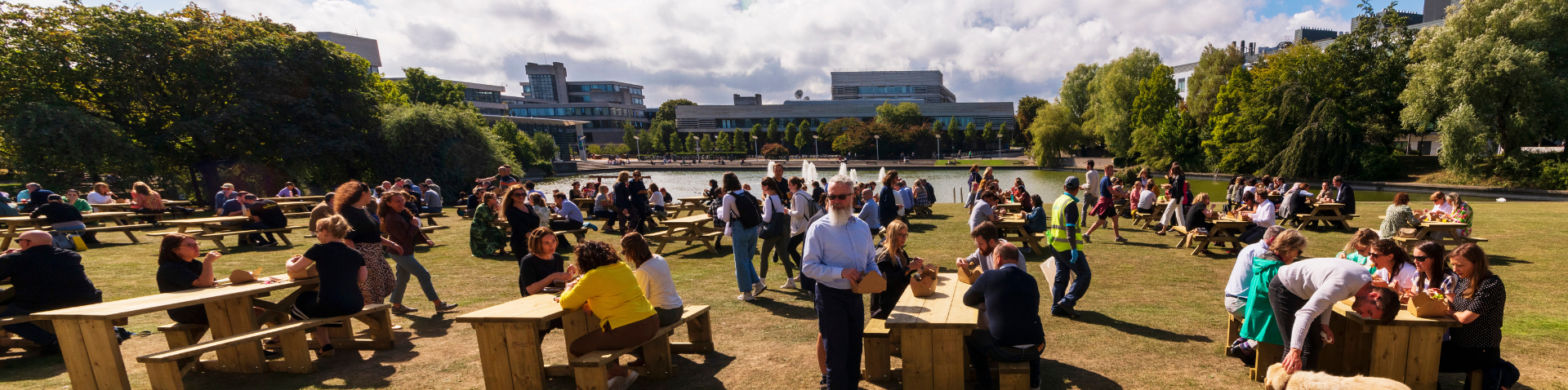 People sitting at picnic benches beside UCD lake