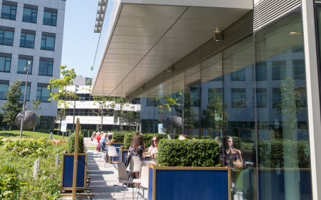 People eating outside UCD University Club on a sunny day