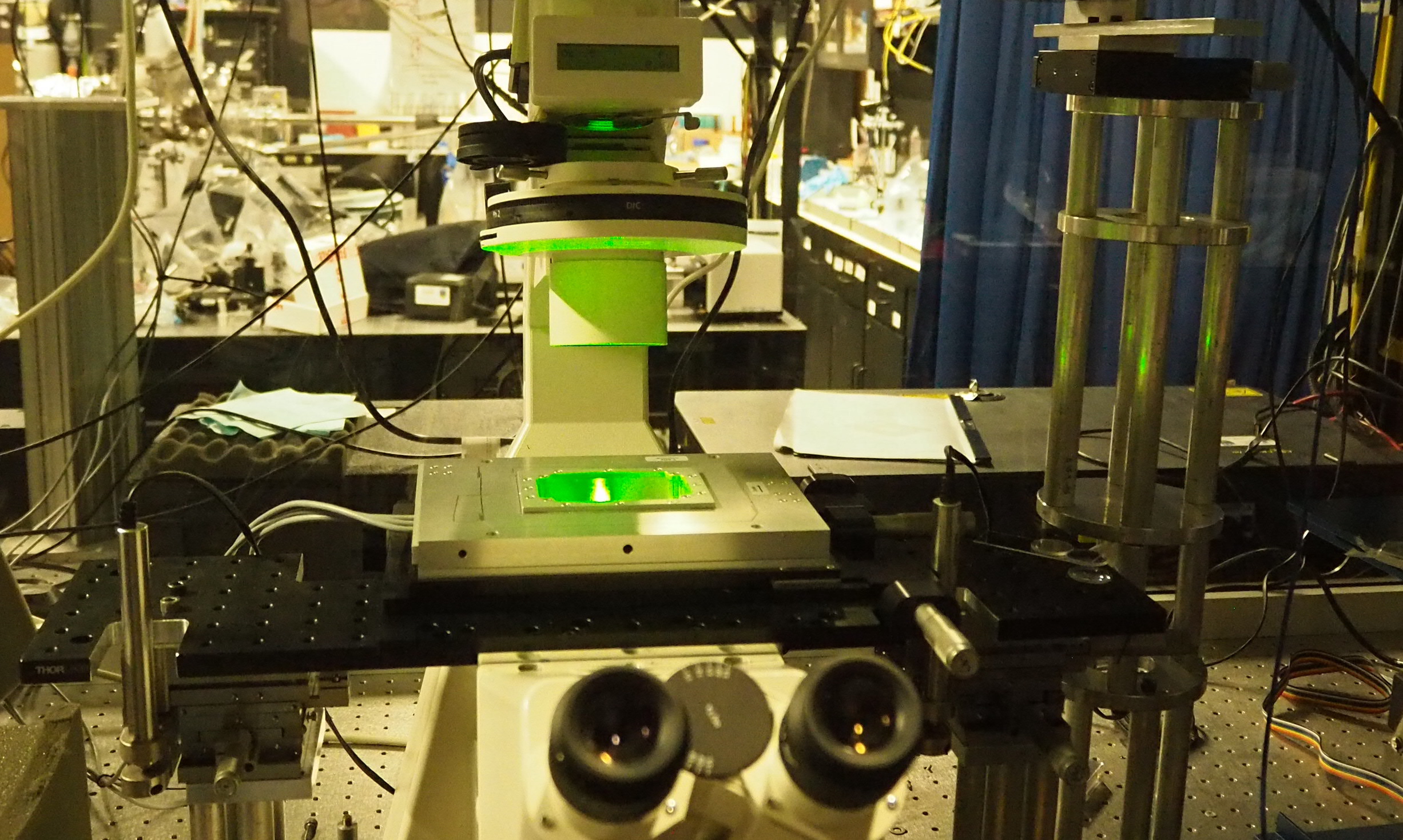 Supporting experiments for PEAR