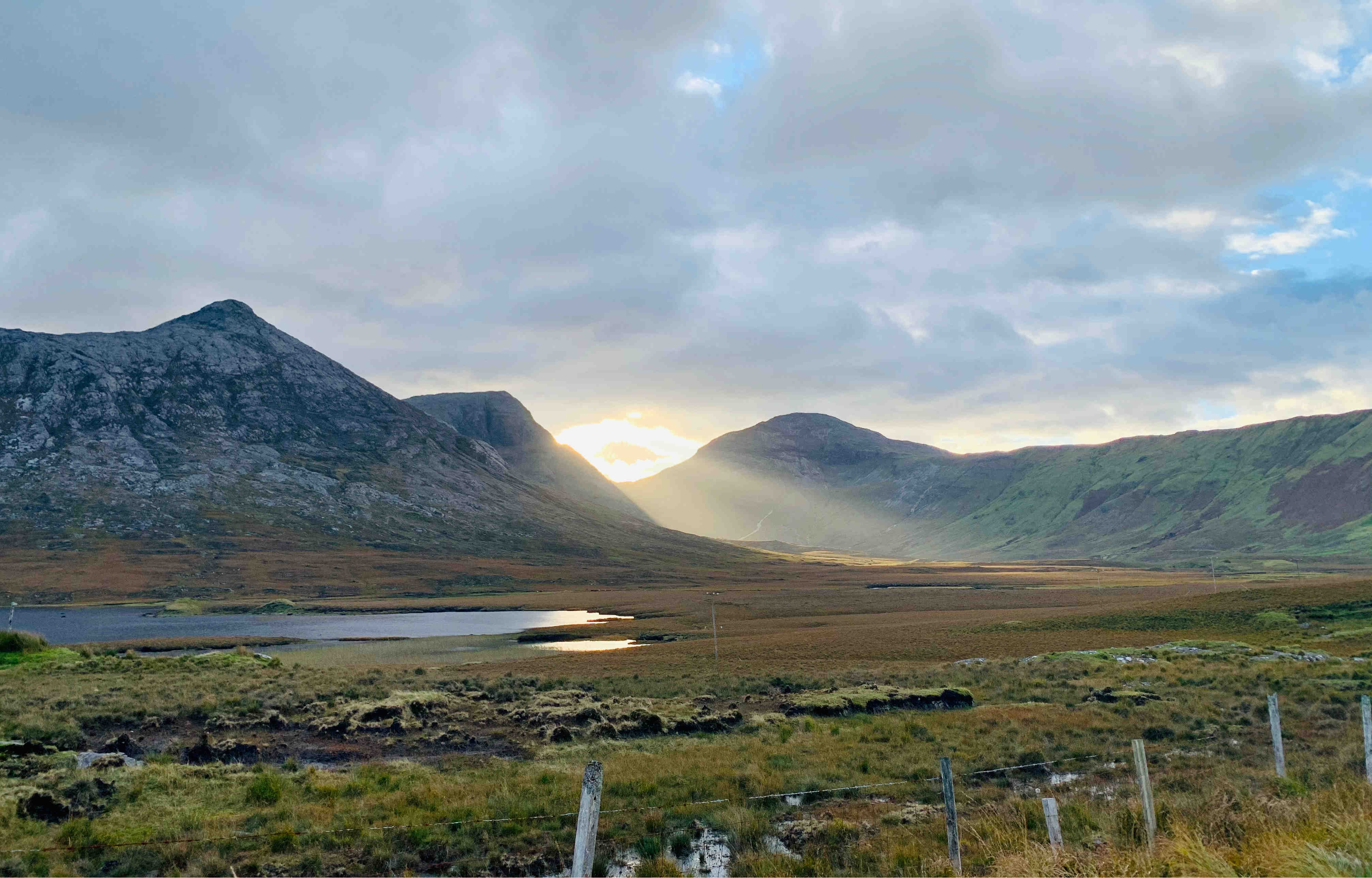 Rewetting, restoring and protecting Irish peatlands