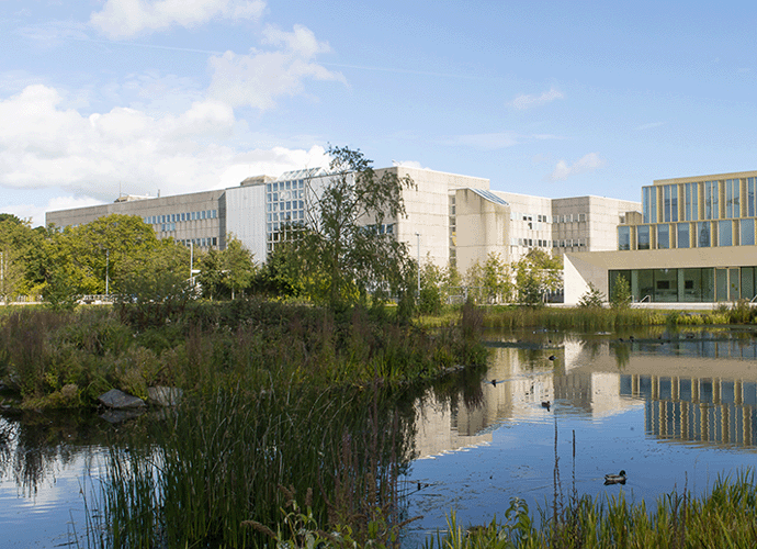 A view of the lake on the UCD Campus