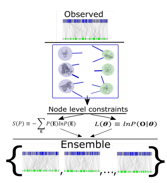 a diagram of observations made