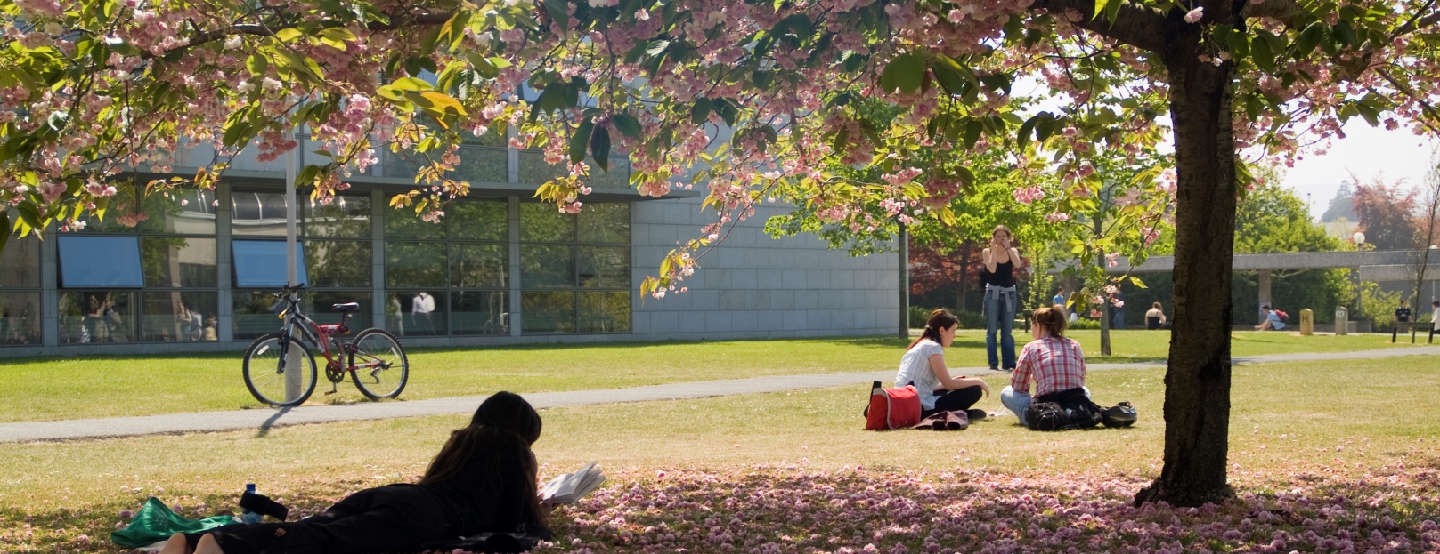 Studying by the lake