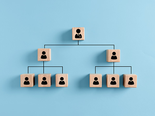 org_structure