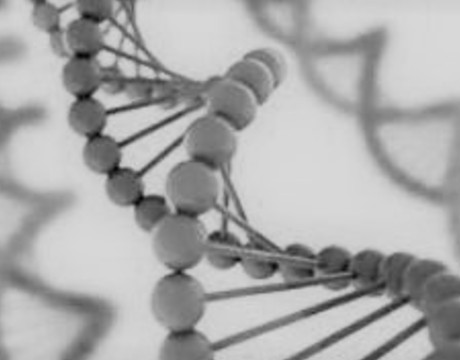 AI-driven clinical translation of AFM biomarkers for cancer diagnosis