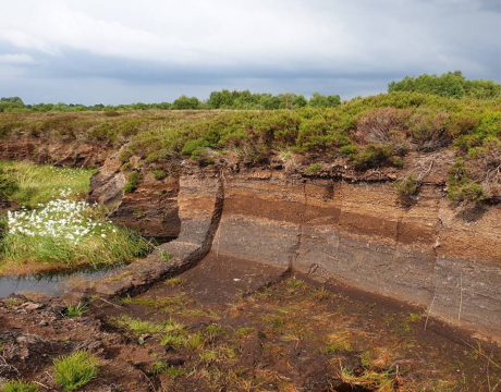For more than 20 years, UCD researchers have examined the workings of Ireland’s peatlands. These biodiverse natural ecosystems cover around a fifth of the country’s land area and are important in tackling climate change and reducing flood risk.\n\n 