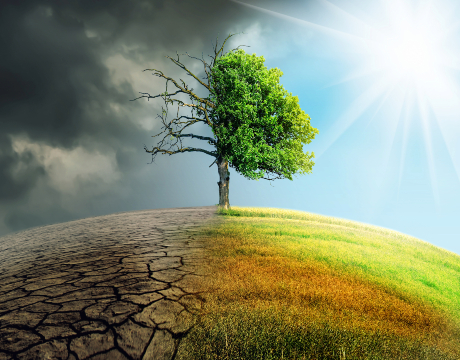 UCD is ranked no.1 in Ireland in QS World University Rankings for Sustainability and in the top 50 globally for 2024. Our leading experts are informing policy, creating new technologies and participating in major advisory bodies to help meet SDGs.