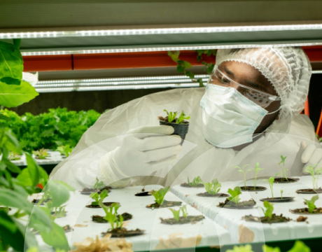 UCD co-leads a €31.5M Co-Centre, where world-leading researchers work closely with government and industry to drive societal and political change in the transition to climate neutrality.