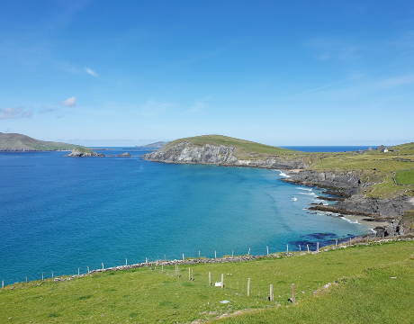 UCD researchers have been working with Government, stakeholders and the public on a report that formed the backbone of Ireland’s General Scheme of Marine Protected Areas Bill 2022. 
