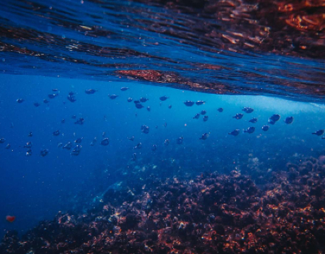 Defending our ecosystems and improving management of our natural resources