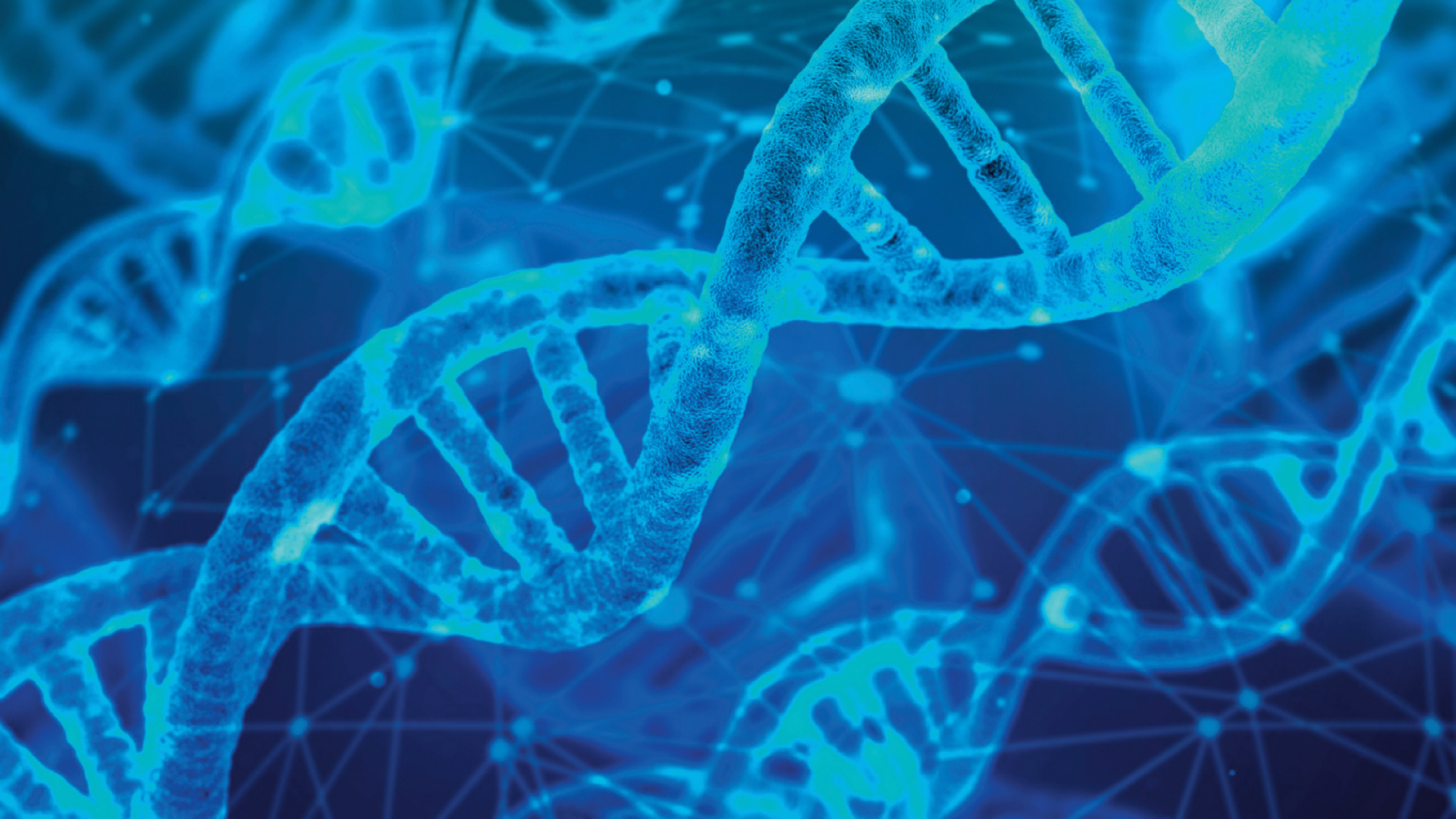 Looking back on legacies of storytelling, creativity, conflict and marginalisation to move forward constructively.