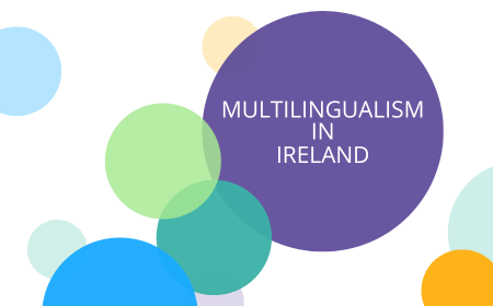 Multilingualism in Ireland - First Multilingualism in Ireland conference\n