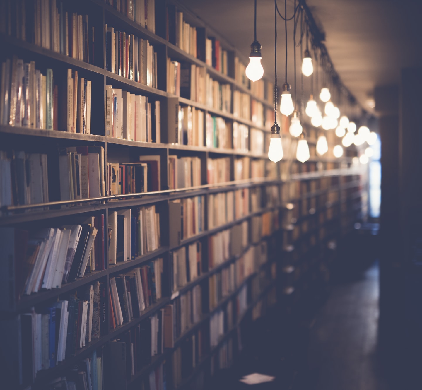 A wall of a library, with bookshelves, lit by uncovered lightbulbs