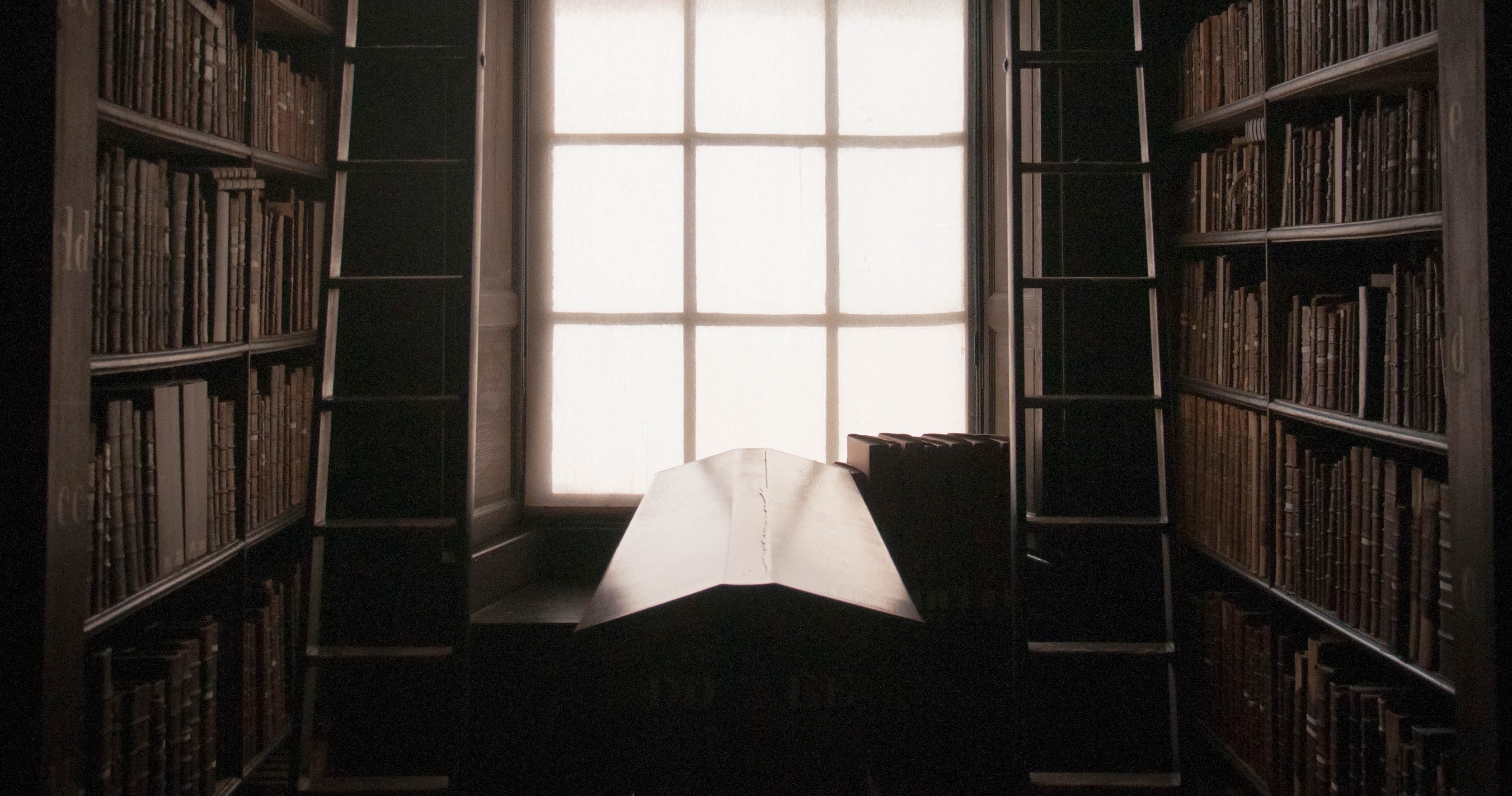 A library window with bookshelves either side