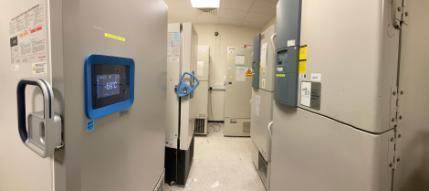 Minus 70 degrees celsius freezer room