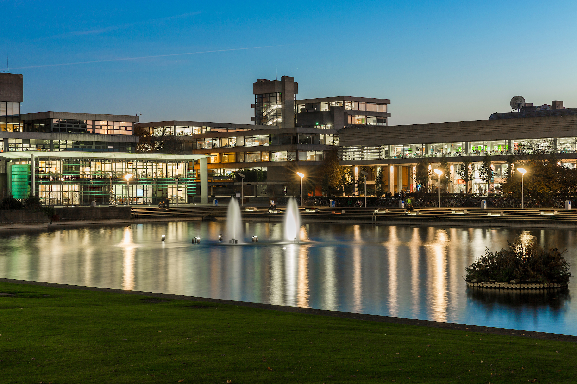 Lights reflect on the UCD Lake at dusk