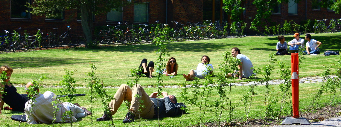 Students on grass