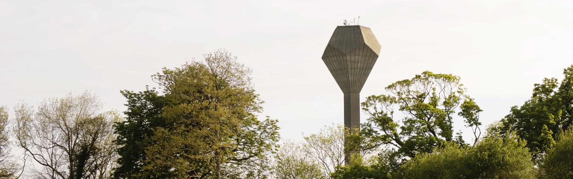 A view of the UCD water tower surrounded by trees from UCD Rosemount Environmental Research Station