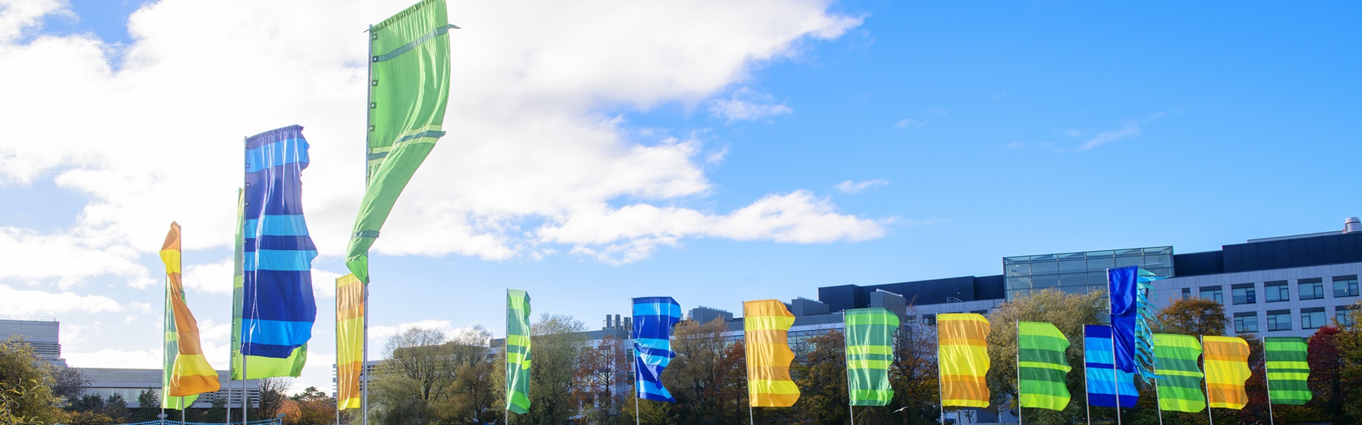 Blue, yellow and green flags (UCD crest colours) at the UCD Belfield campus main flag