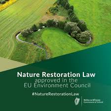 The Irish government has named Dr Aoibhinn Ní Shúilleabháin Chair of the Independent Advisory Committee (IAC) on Nature Restoration. The six member committee also includes Prof Tasman Crowe, VP for Sustainability at UCD.