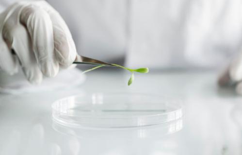 Minister awards 13 UCD labs with sustainable laboratory certifications