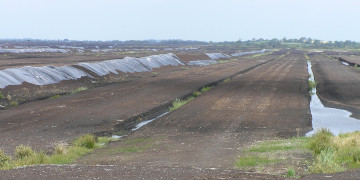 Monitoring sites will provide information on the distal downstream influence of peat harvesting and on the channels where existing measures are in place.