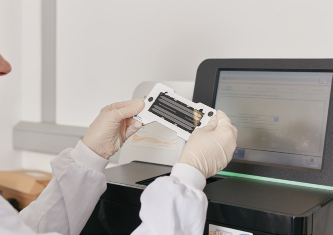 PCR