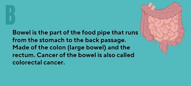 Bowel Cancer: Your A to Z Guide