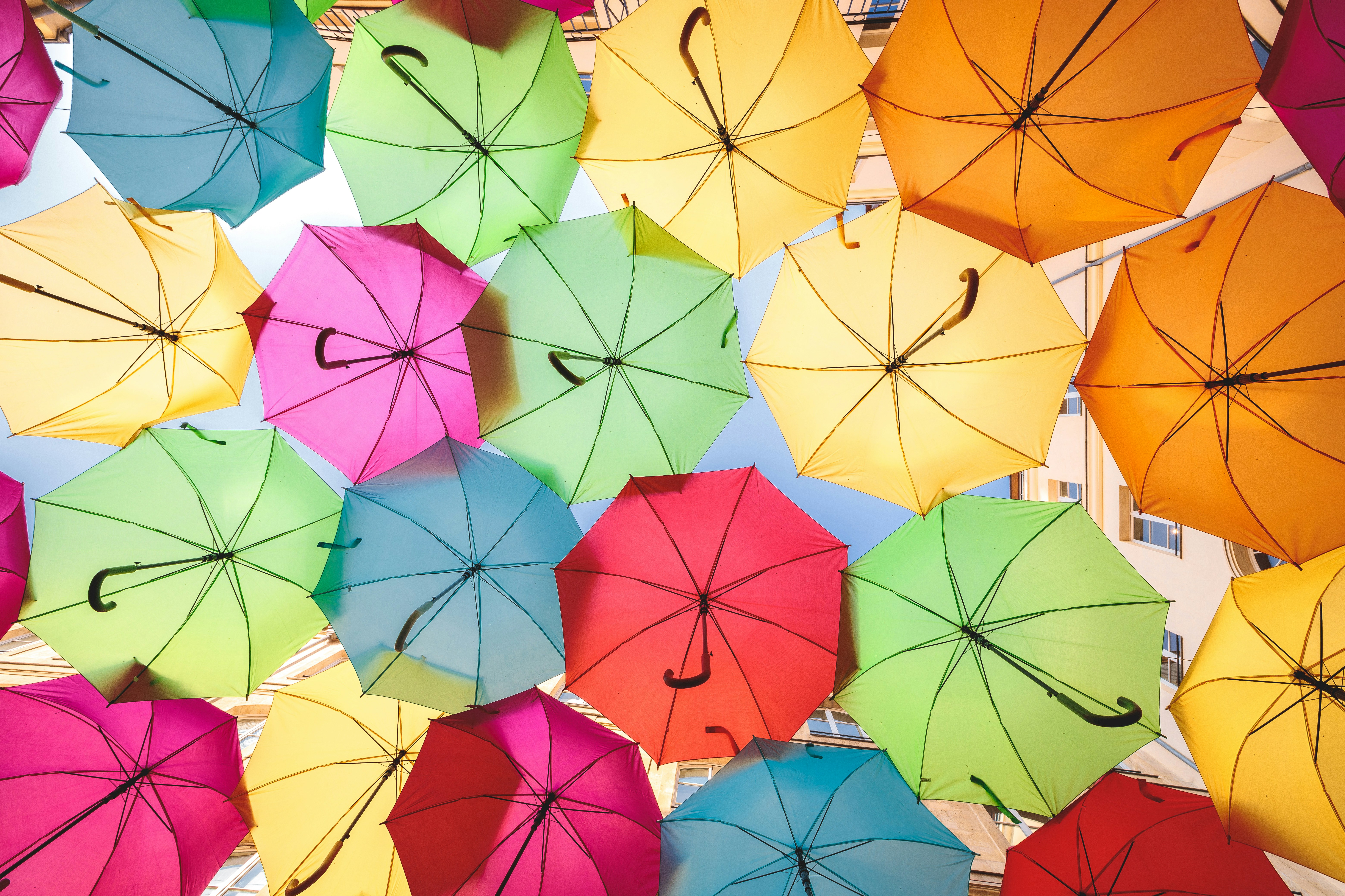 Colourful umbrellas photographed from below