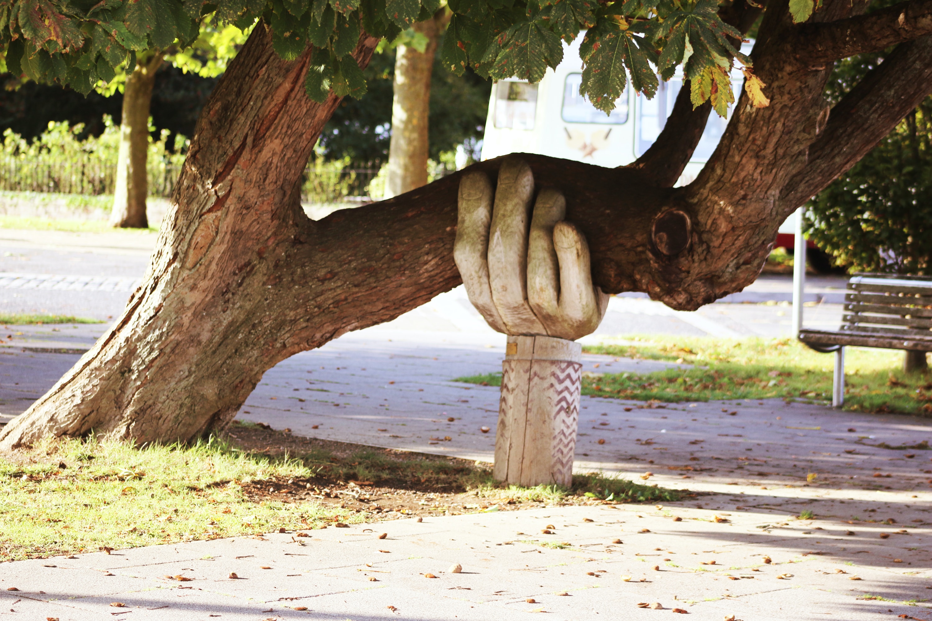 Large metal hand sculpture appearing to hold up a large tree branch