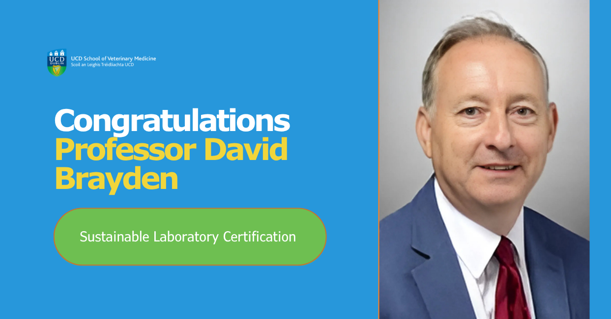 Graphic featuring the UCD School of Veterinary Medicine logo, a professional portrait of Professor David Brayden in a blue suit and red tie, and the text: 